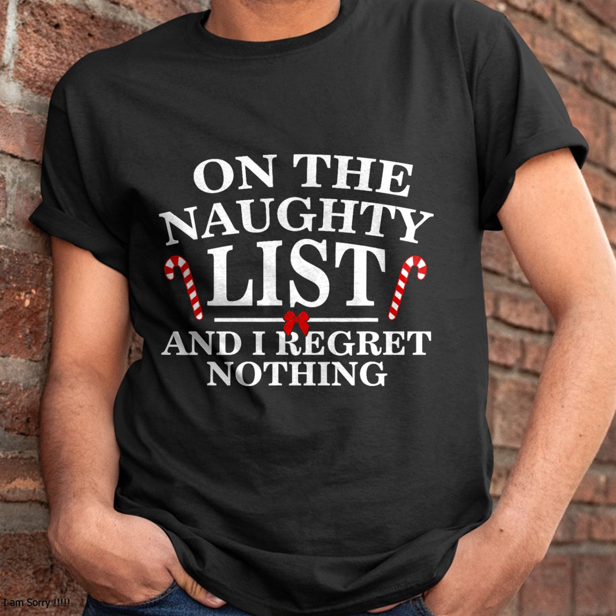 On The Naughty List And I Regret Nothing Funny Xmas Shirt T-Shirt - Christmas Unisex T-Shirt/Hoodie/Sweatshirt - TRNN00