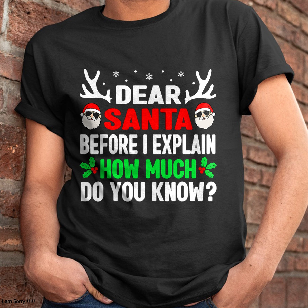 Funny Christmas Kids Adults Dear Santa I Can Explain T-Shirt - Christmas Unisex T-Shirt/Hoodie/Sweatshirt - TRNN00