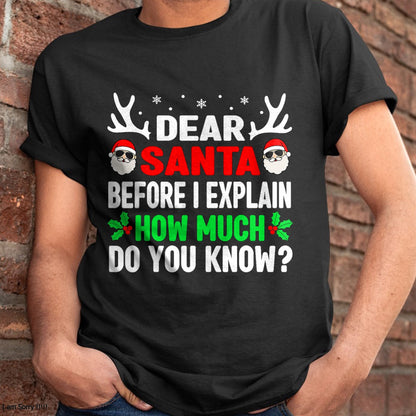 Funny Christmas Kids Adults Dear Santa I Can Explain T-Shirt - Christmas Unisex T-Shirt/Hoodie/Sweatshirt - TRNN00
