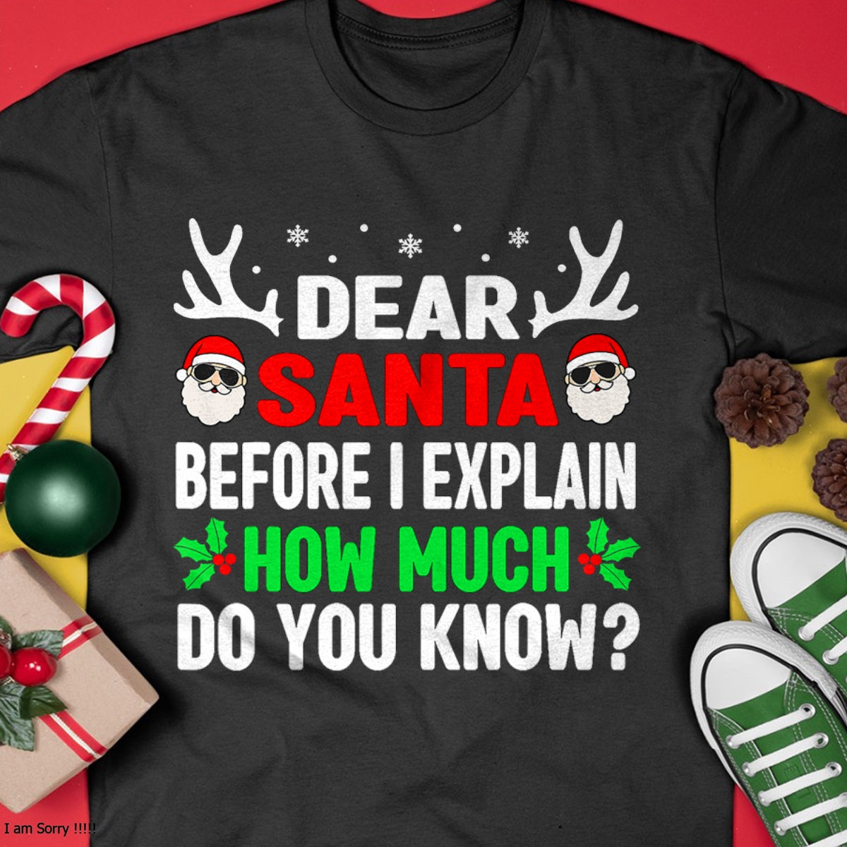 Funny Christmas Kids Adults Dear Santa I Can Explain T-Shirt - Christmas Unisex T-Shirt/Hoodie/Sweatshirt - TRNN00