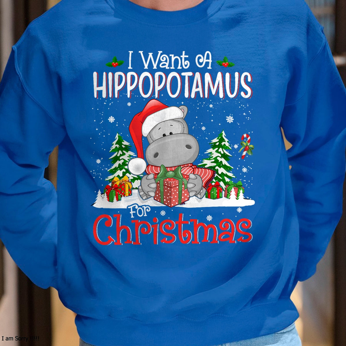I Want A Hippopotamus For Christmas Xmas Hippo for Kid Women T-Shirt - Christmas Unisex T-Shirt/Hoodie/Sweatshirt - TRNN00