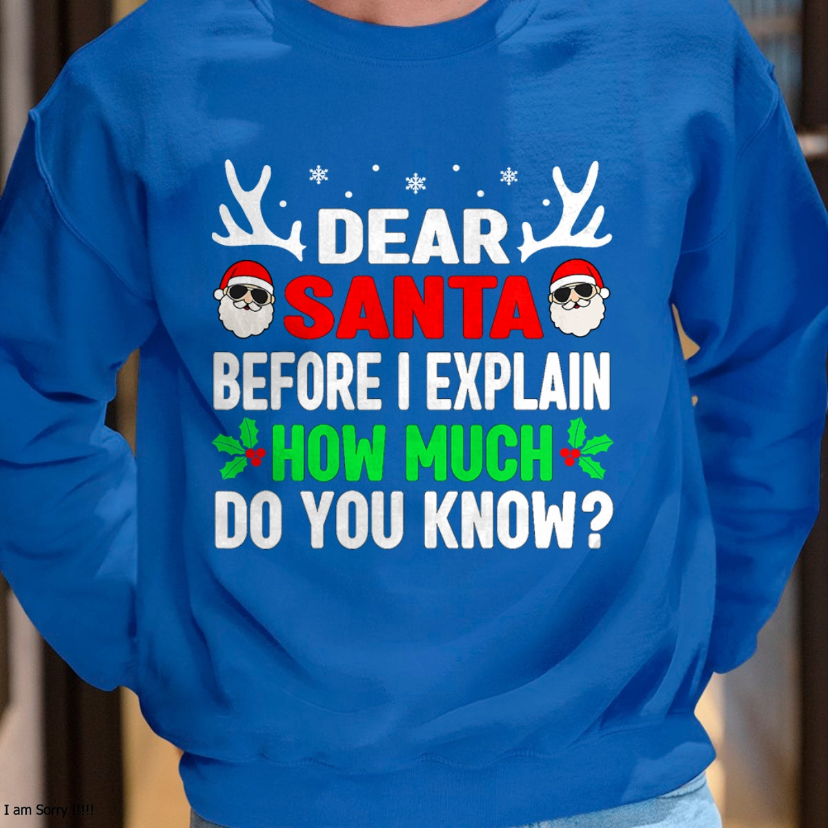Funny Christmas Kids Adults Dear Santa I Can Explain T-Shirt - Christmas Unisex T-Shirt/Hoodie/Sweatshirt - TRNN00