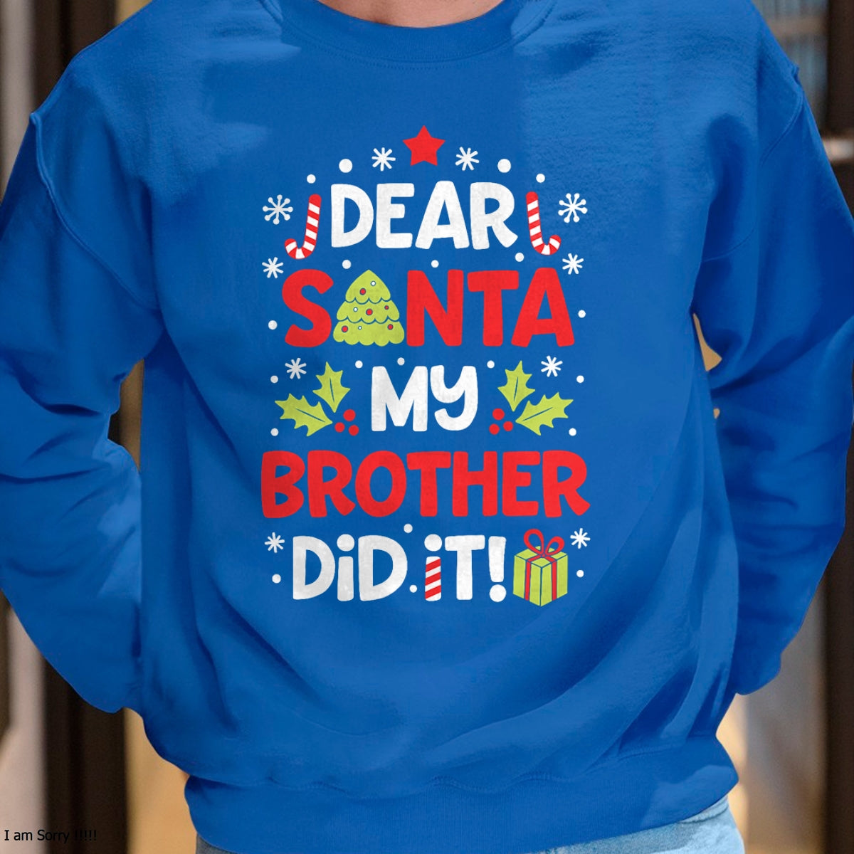 Dear Santa My Brother Did It Funny Christmas Girls Kids Boys Short Sleeve T-Shirt - Christmas Unisex T-Shirt/Hoodie/Sweatshirt - TRNN00