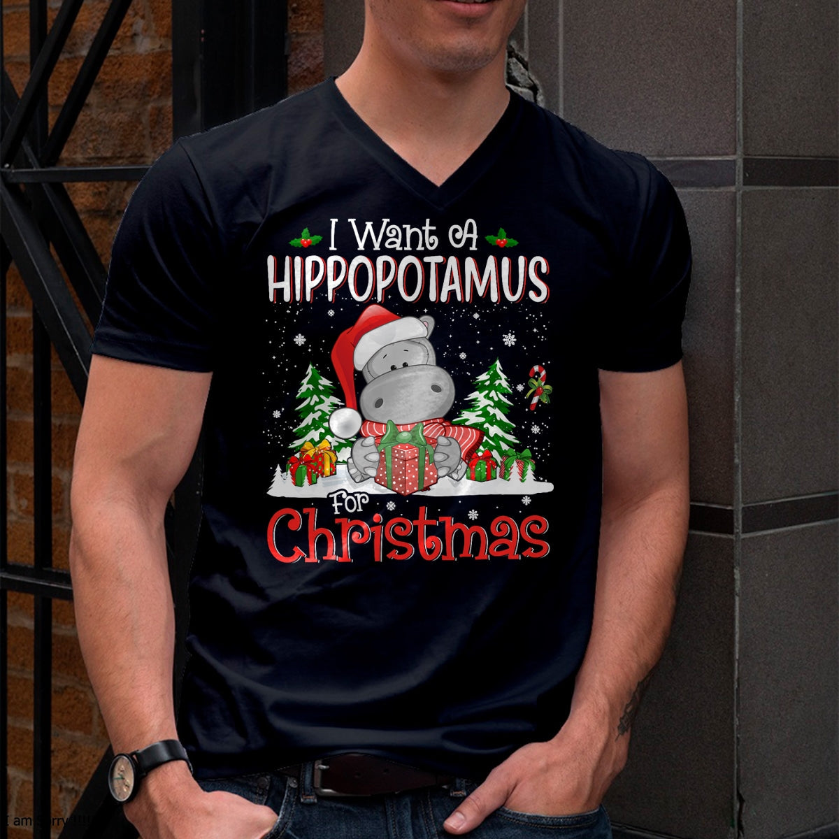 I Want A Hippopotamus For Christmas Xmas Hippo for Kid Women T-Shirt - Christmas Unisex T-Shirt/Hoodie/Sweatshirt - TRNN00