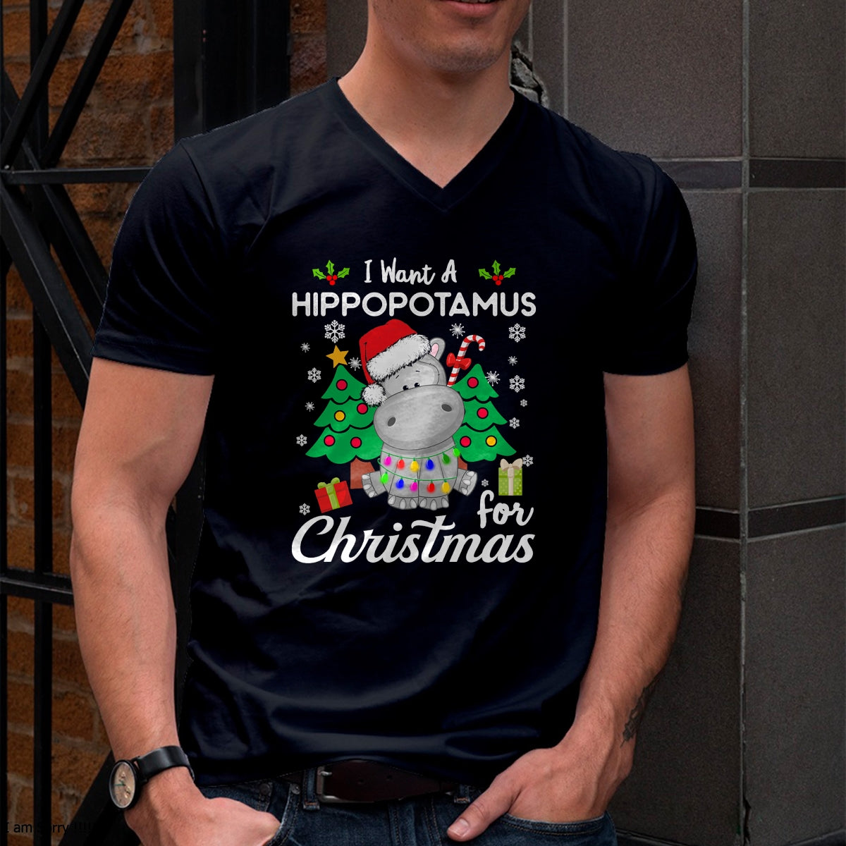 I Want A Hippopotamus For Christmas Cute Gift Xmas Costume T-Shirt - Christmas Unisex T-Shirt/Hoodie/Sweatshirt - TRNN00