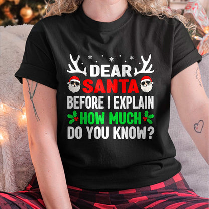 Funny Christmas Kids Adults Dear Santa I Can Explain T-Shirt - Christmas Unisex T-Shirt/Hoodie/Sweatshirt - TRNN00