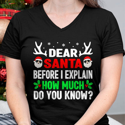 Funny Christmas Kids Adults Dear Santa I Can Explain T-Shirt - Christmas Unisex T-Shirt/Hoodie/Sweatshirt - TRNN00