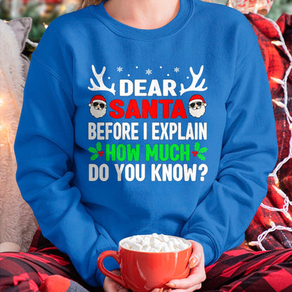 Funny Christmas Kids Adults Dear Santa I Can Explain T-Shirt - Christmas Unisex T-Shirt/Hoodie/Sweatshirt - TRNN00